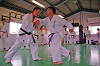 nidan (218)_samu.gif